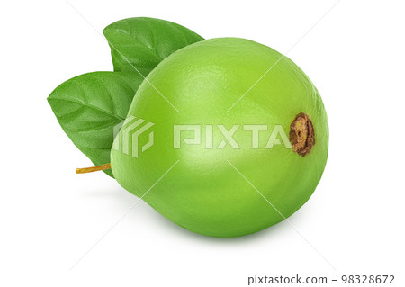 Guava fruit isolated on white background with full depth of field Guava fruit isolated on white background with full depth of field 98328672