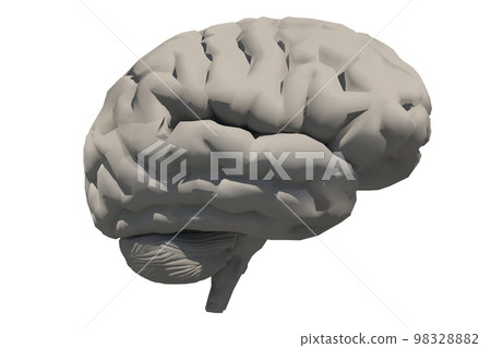 Human brain Human brain 98328882