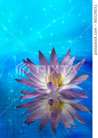 Lotus Flower Lotus Flower 98329031