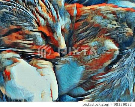 Sleeping cat Sleeping cat 98329052