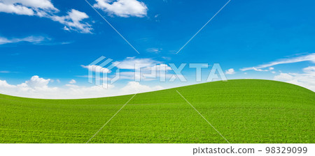 green field with blue sky background 98329099
