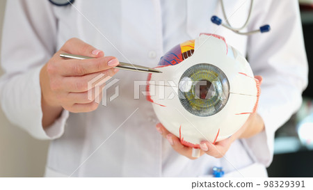 Close up of ophthalmologist holds anatomical model of human eye. Close up of ophthalmologist holds anatomical model of human eye. 98329391