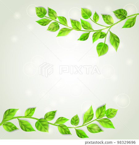 Two branches with green leaves 98329696