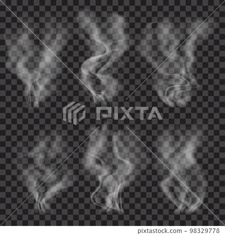Set of translucent gray smoke. Transparency only in vector format Set of translucent gray smoke. Transparency only in vector format 98329778