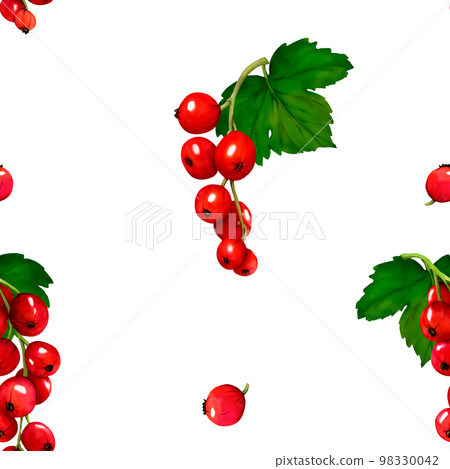 Pattern. Watercolor red ripe currant berries isolated on white background. Hand drawn botanical illustration. Clip art berry branches. Viva Magenta color. Pattern. Watercolor red ripe currant berries isolated on white background. Hand drawn botanical illustration. Clip art berry branches. Viva Magenta color. 98330042