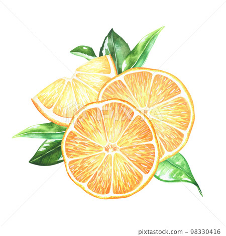 Composition of a yellow slices of lemon with a flower with leaves. Watercolor illustration. Isolated on a white background.For your design stickers, kitchen accessories, product packaging with citrus 98330416