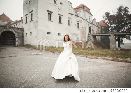 Beautiful luxury bride in elegant white dress Beautiful luxury bride in elegant white dress 98330961