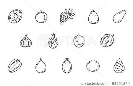 Raw fruit line icons. Melon, apricot or peach, grapes, guava or pear, papaya, fig and pitaya dragon fruit, lychee, durian and bergamot orange, grapefruit, feijoa and carambola outline vecor pictogram 98331844