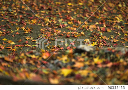 Autumn fallen leaves material Autumn fallen leaves material 98332433
