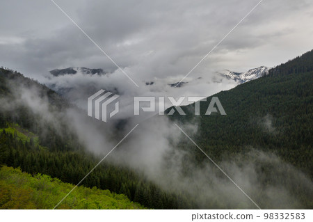 Fog in mountains 98332583