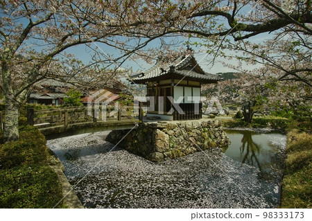 Yonehara and Ishido-ji Temple in spring when cherry blossoms bloom Yonehara and Ishido-ji Temple in spring when cherry blossoms bloom 98333173
