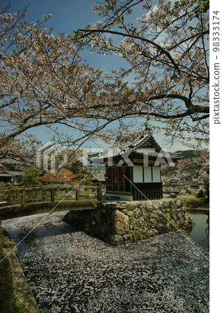 Yonehara and Ishido-ji Temple in spring when cherry blossoms bloom Yonehara and Ishido-ji Temple in spring when cherry blossoms bloom 98333174