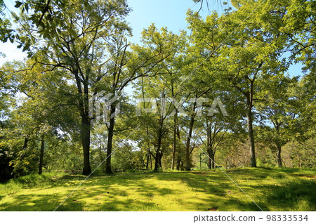 Refreshingly colored park 98333534