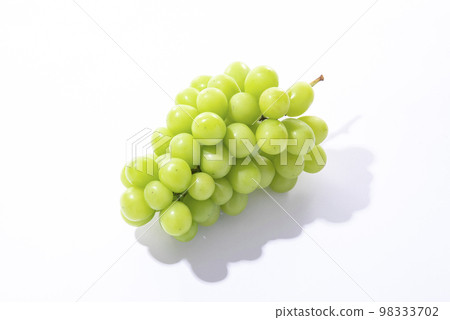 閃耀馬斯喀特白色背景 98333702