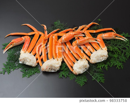 Snow crab 98333758