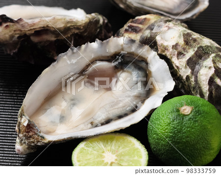 Oyster Oyster 98333759
