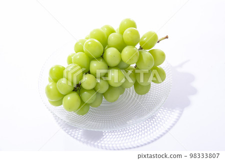 閃耀馬斯喀特白色背景 98333807