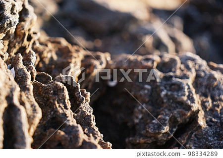 Beach rocks Beach rocks 98334289