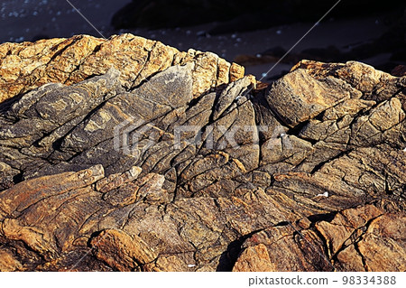 堅固的海灘岩石 98334388