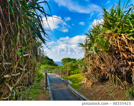 沖繩縣恩納村,前田岬停車場通往景區的道路 沖繩縣恩納村,前田岬停車場通往景區的道路 98335423
