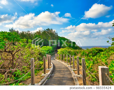 沖繩縣恩納村,前田岬停車場通往景區的道路 沖繩縣恩納村,前田岬停車場通往景區的道路 98335424
