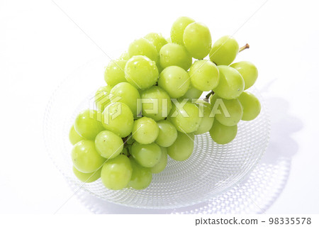 閃耀馬斯喀特白色背景 98335578