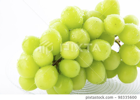 閃耀馬斯喀特白色背景 98335600