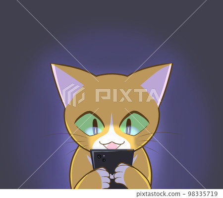 Cat looking at smartphone in the dark 98335719