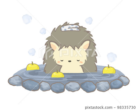 刺猬進入溫泉插畫 刺猬進入溫泉插畫 98335730