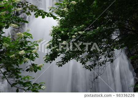 Noriutsugi and waterfall Noriutsugi and waterfall 98336226