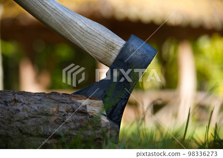 Hatchet or ax standing upright in a tree stump 98336273