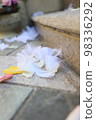 Flower shower 98336292