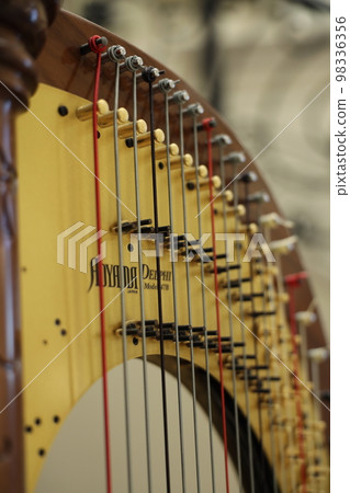 harp harp 98336356