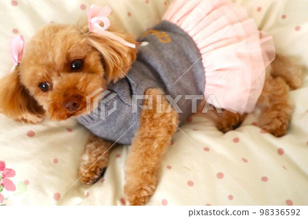 I'm tired of saying sdgs one after another... 98336592