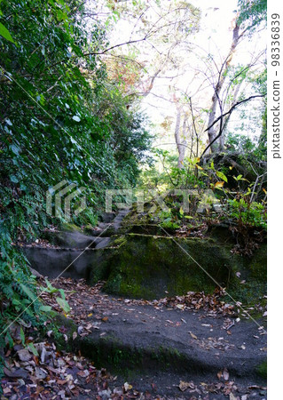 Kamakura Keshozaka Kamakura Keshozaka 98336839