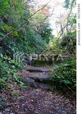 4200 Kamakura Keshozaka 98336840