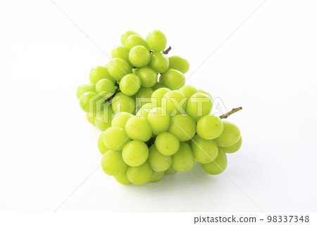 閃耀馬斯喀特白色背景 98337348