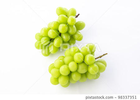 閃耀馬斯喀特白色背景 98337351