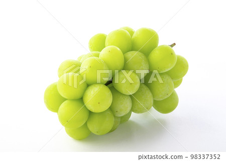 閃耀馬斯喀特白色背景 閃耀馬斯喀特白色背景 98337352