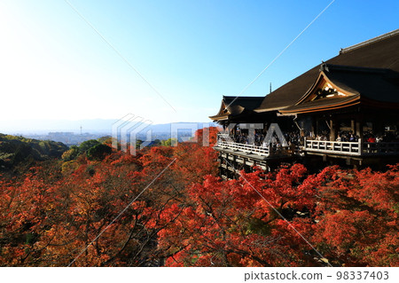 Kiyomizu-dera Temple Autumn foliage scenery 98337403