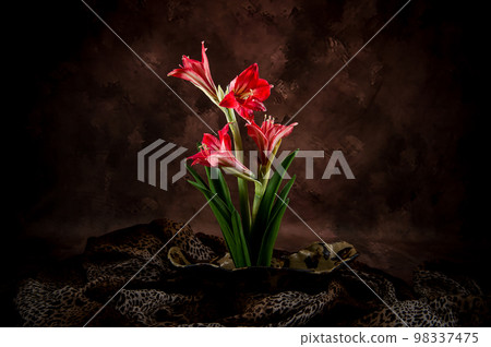 flower arrangement 98337475