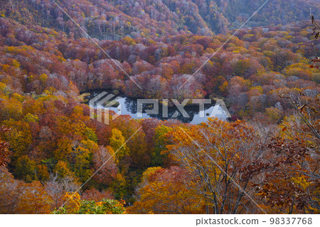 Tsuruma Pond Tsuruma Pond 98337768