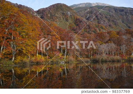 Tsuruma Pond Tsuruma Pond 98337769