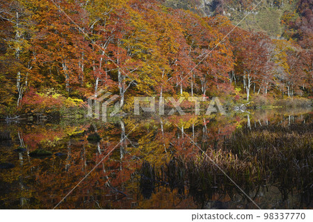 Tsuruma Pond Tsuruma Pond 98337770