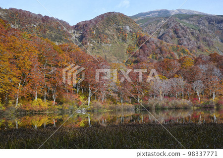 Tsuruma Pond Tsuruma Pond 98337771