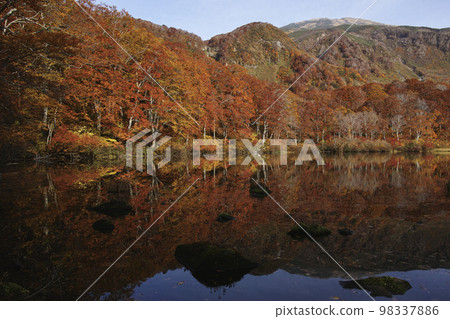 Tsuruma Pond Tsuruma Pond 98337886