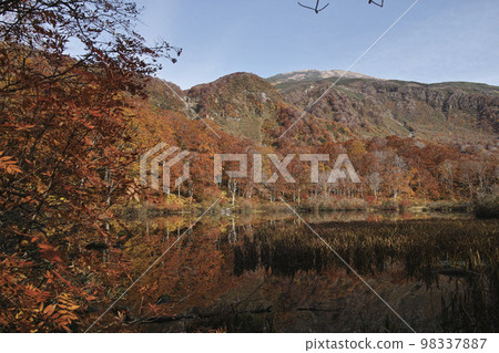 Tsuruma Pond Tsuruma Pond 98337887