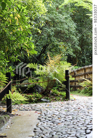 Okayama Korakuen garden in spring Okayama Korakuen garden in spring 98338037