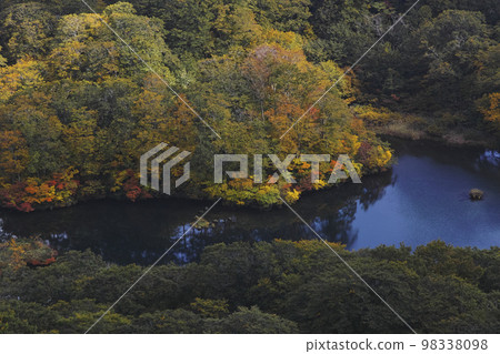 Tsuruma Pond 98338098