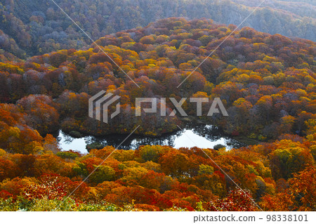 Tsuruma Pond Tsuruma Pond 98338101